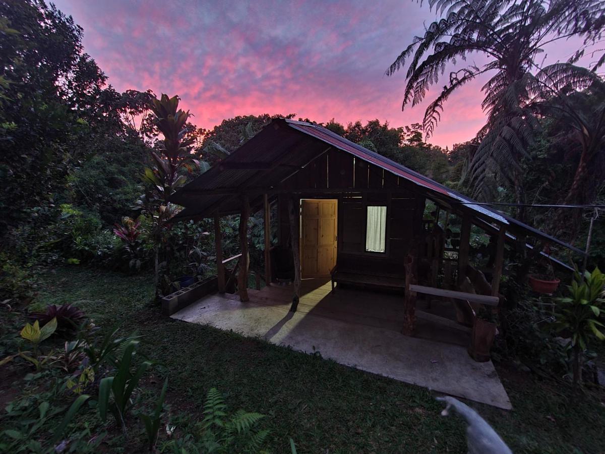 Cabana Maquique - San Vito Villa San Ramon  Buitenkant foto