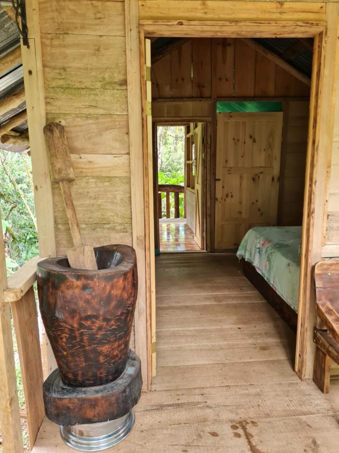 Cabana Maquique - San Vito Villa San Ramon  Buitenkant foto