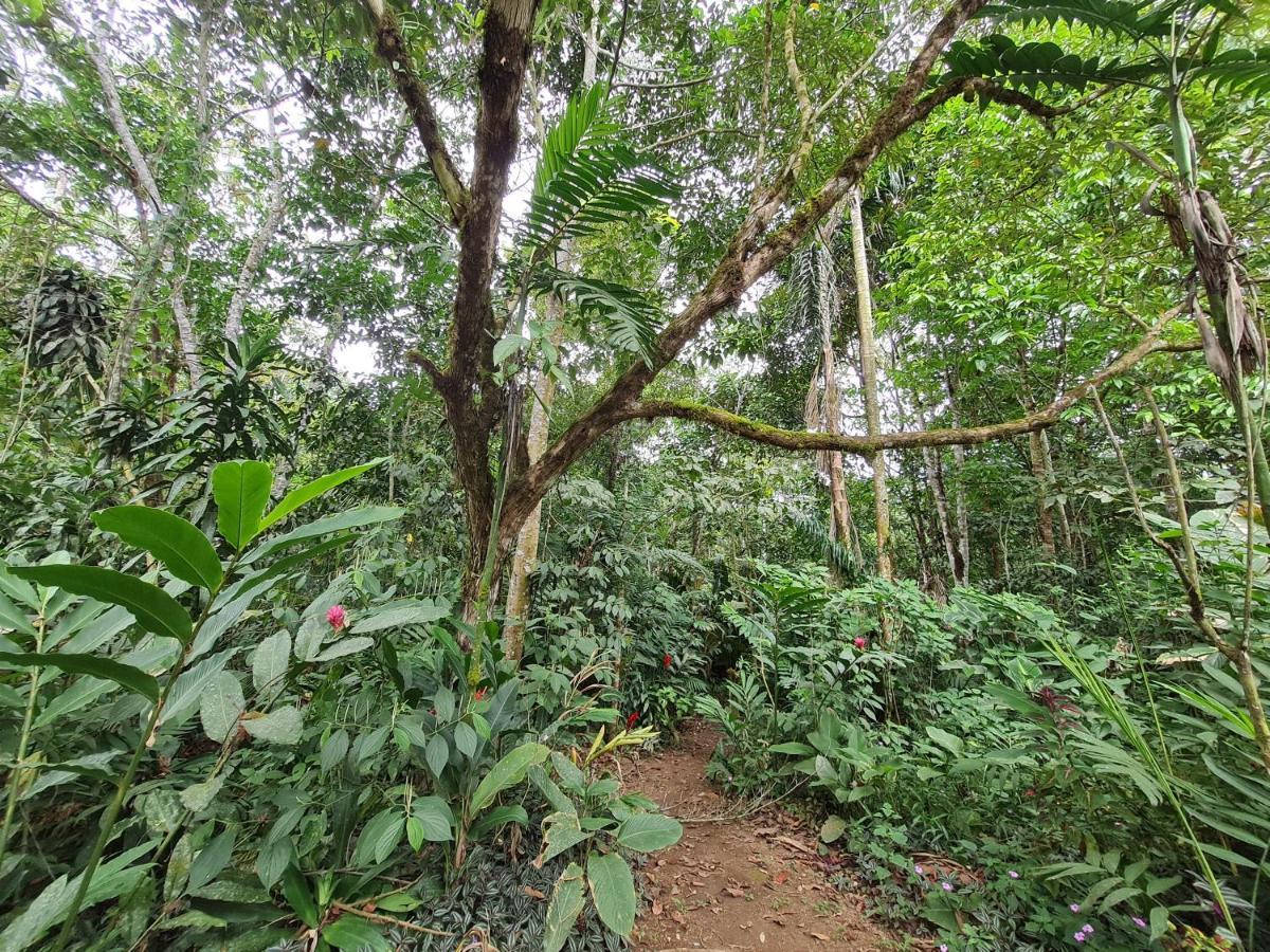 Cabana Maquique - San Vito Villa San Ramon  Buitenkant foto
