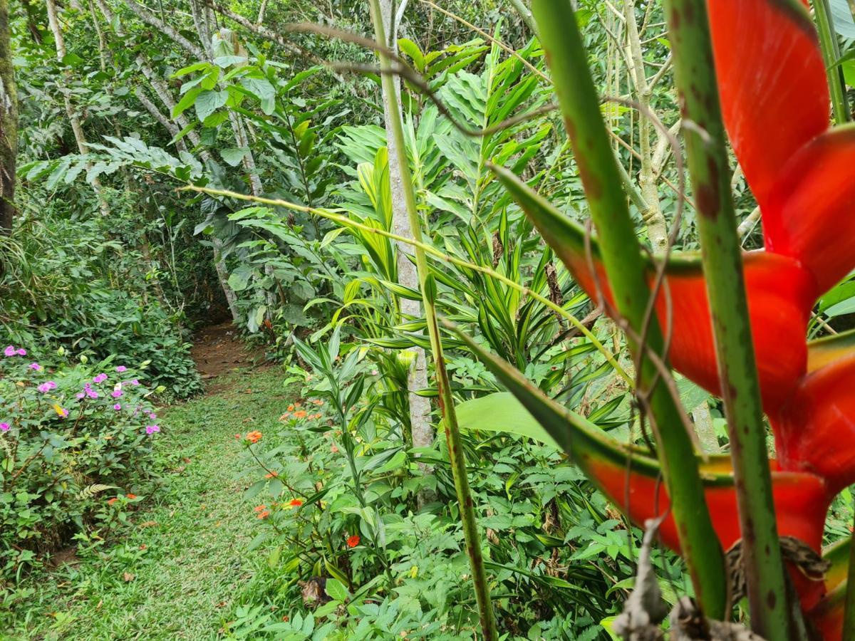 Cabana Maquique - San Vito Villa San Ramon  Buitenkant foto