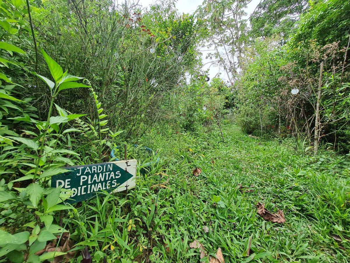 Cabana Maquique - San Vito Villa San Ramon  Buitenkant foto